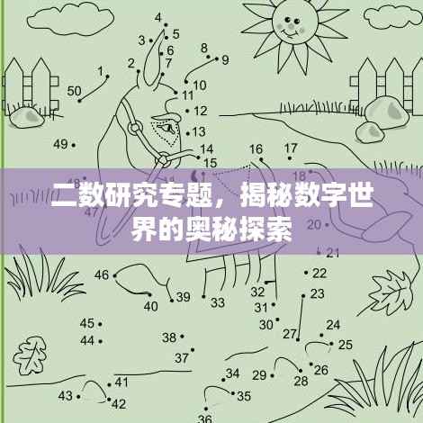 二数研究专题,揭秘数字世界的奥秘探索