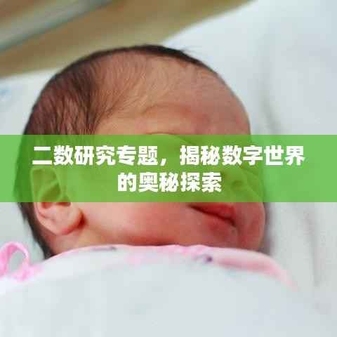 二数研究专题,揭秘数字世界的奥秘探索