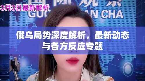 俄乌局势深度解析,最新动态与各方反应专题