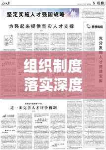 组织制度落实深度探讨，现状与挑战