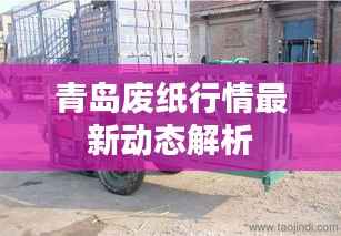 青岛废纸行情最新动态解析