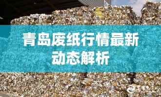 青岛废纸行情最新动态解析