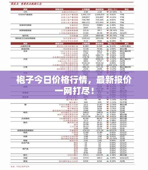 袍子今日价格行情,最新报价一网打尽!