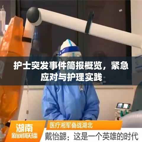 护士突发事件简报概览,紧急应对与护理实践