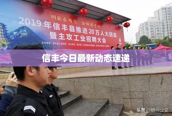 信丰今日最新动态速递