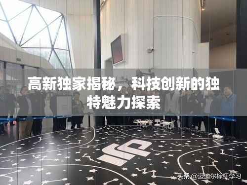 高新独家揭秘,科技创新的独特魅力探索