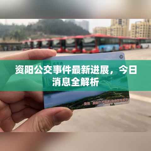 资阳公交事件最新进展,今日消息全解析