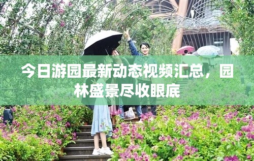今日游园最新动态视频汇总,园林盛景尽收眼底