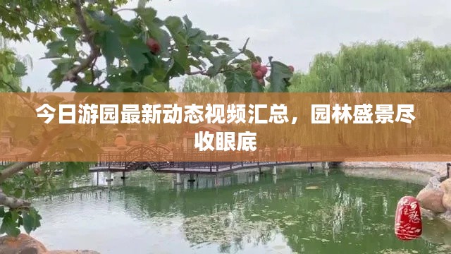 今日游园最新动态视频汇总,园林盛景尽收眼底