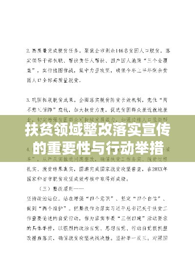 扶贫领域整改落实宣传的重要性与行动举措