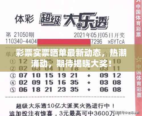 彩票实票晒单最新动态,热潮涌动,期待揭晓大奖!