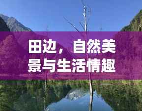 田边,自然美景与生活情趣的完美交融
