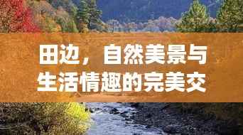 田边,自然美景与生活情趣的完美交融
