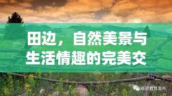 田边,自然美景与生活情趣的完美交融
