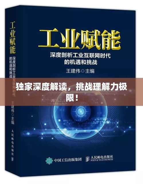 独家深度解读,挑战理解力极限!