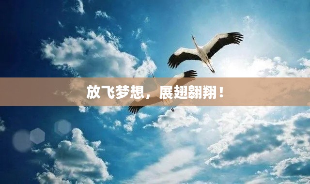 放飞梦想,展翅翱翔!