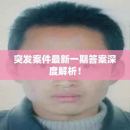 突发案件最新一期答案深度解析!