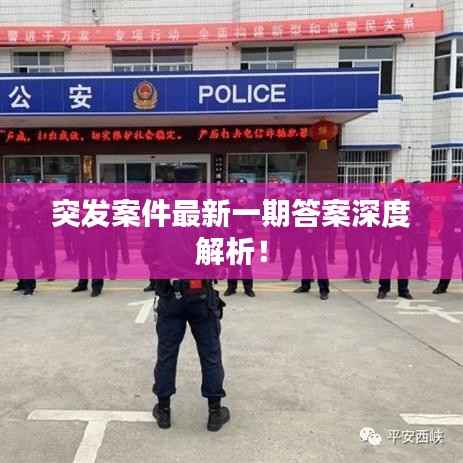 突发案件最新一期答案深度解析!