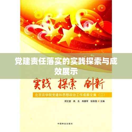 党建责任落实的实践探索与成效展示