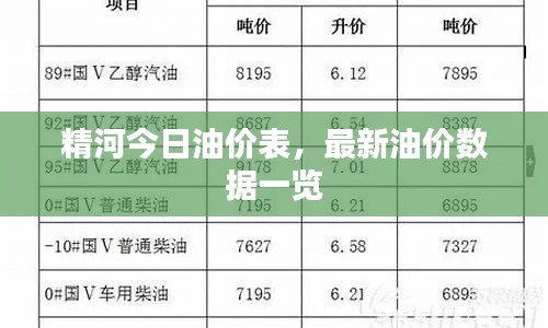 精河今日油价表,最新油价数据一览