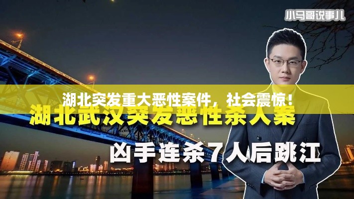 湖北突发重大恶性案件,社会震惊!
