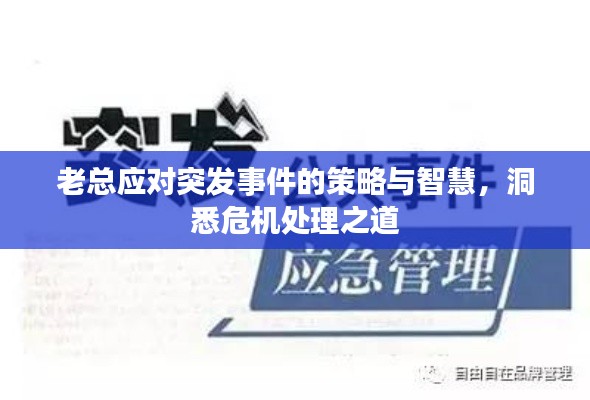 老总应对突发事件的策略与智慧,洞悉危机处理之道