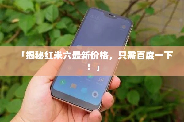 「揭秘红米六最新价格,只需百度一下!」
