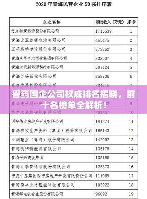 兽药国企公司权威排名揭晓,前十名榜单全解析!