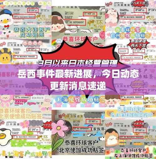 岳西事件最新进展,今日动态更新消息速递