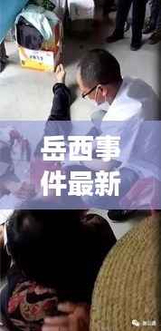 岳西事件最新进展,今日动态更新消息速递