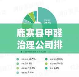 鹿寨县甲醛治理公司排名揭秘,专业除甲醛服务,行业深度解读