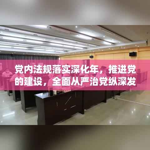 党内法规落实深化年,推进党的建设,全面从严治党纵深发展