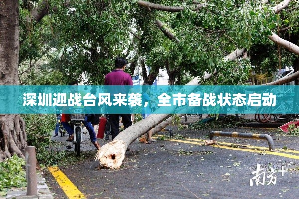 深圳迎战台风来袭,全市备战状态启动
