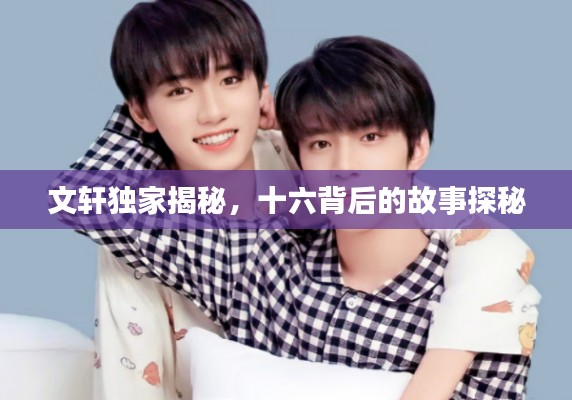 文轩独家揭秘,十六背后的故事探秘