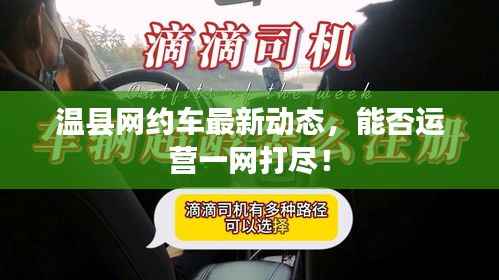 温县网约车最新动态,能否运营一网打尽!