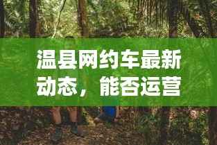 温县网约车最新动态,能否运营一网打尽!