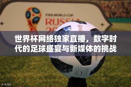 世界杯网络独家直播,数字时代的足球盛宴与新媒体的挑战