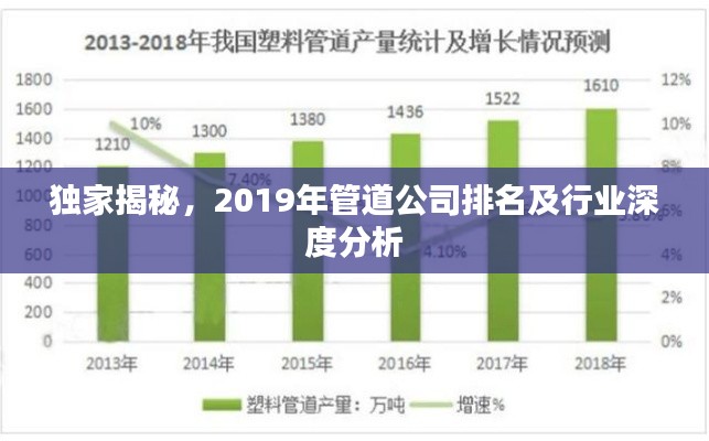 独家揭秘,2019年管道公司排名及行业深度分析