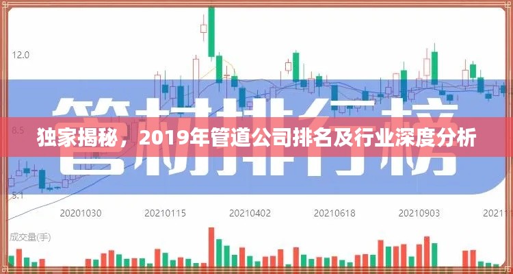 独家揭秘,2019年管道公司排名及行业深度分析