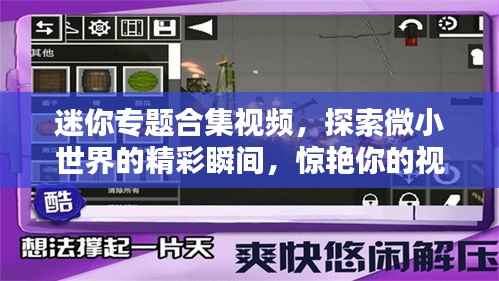 迷你专题合集视频,探索微小世界的精彩瞬间,惊艳你的视觉!