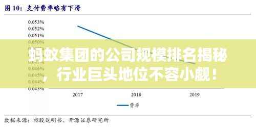 蚂蚁集团的公司规模排名揭秘,行业巨头地位不容小觑!
