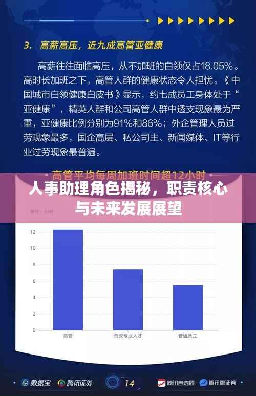人事助理角色揭秘,职责核心与未来发展展望