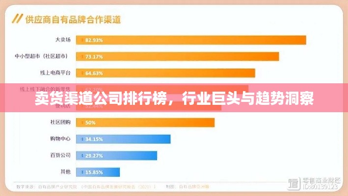 卖货渠道公司排行榜,行业巨头与趋势洞察