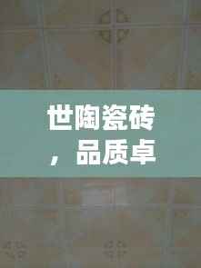 世陶瓷砖,品质卓越,百度热推,您的理想选择!