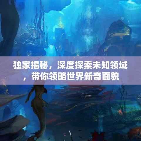 独家揭秘,深度探索未知领域,带你领略世界新奇面貌