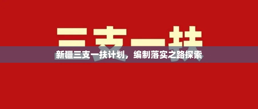 新疆三支一扶计划,编制落实之路探索