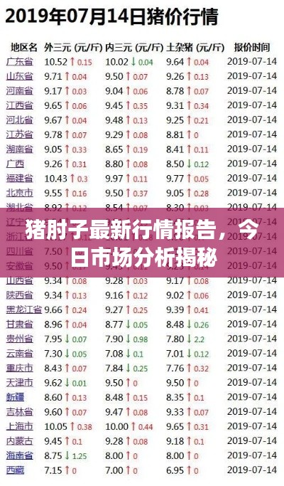 猪肘子最新行情报告,今日市场分析揭秘