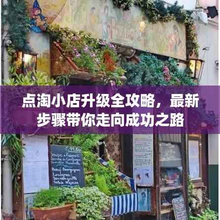 点淘小店升级全攻略,最新步骤带你走向成功之路