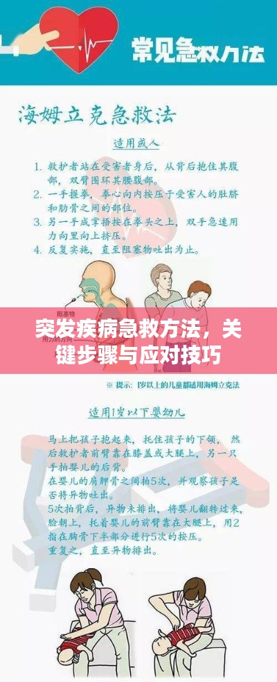 突发疾病急救方法,关键步骤与应对技巧