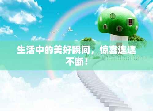 生活中的美好瞬间,惊喜连连不断!